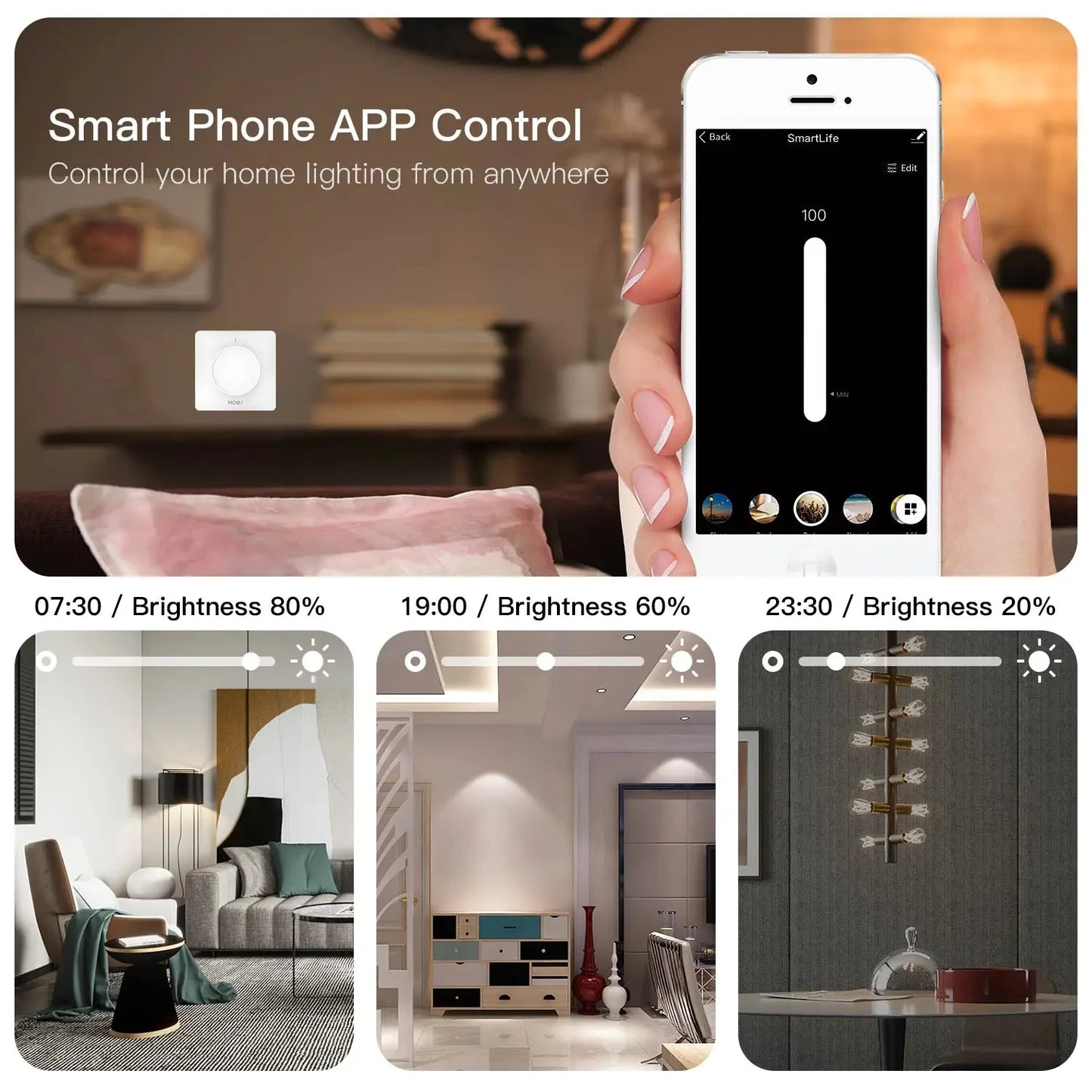 Smart Rotary/Touch Light Di